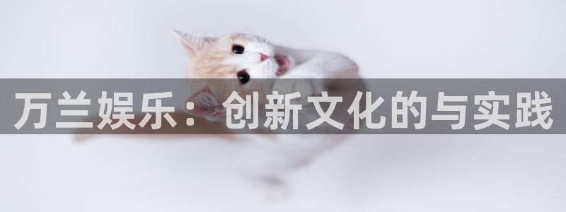 彩神vii官方
