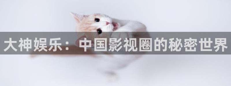 彩神vii官方