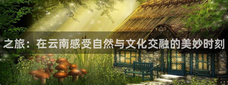 彩神vii官方